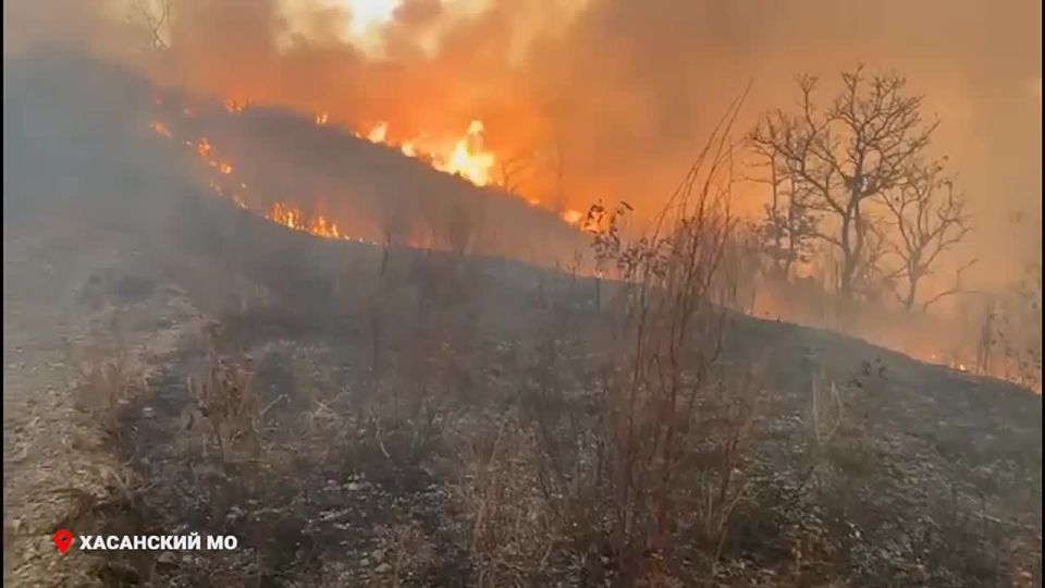 ������� ��������� ����� ������������ � ����