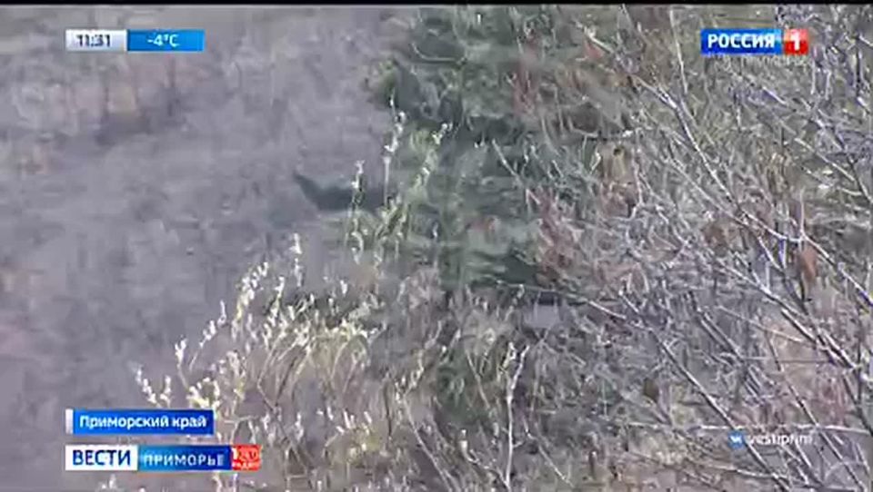 ��������� ������ ����� ��������������� ������������� ���������� � ����