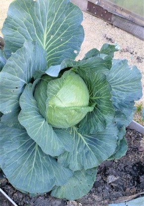 ������� ����� �� �������� � ����� ������� � ��������