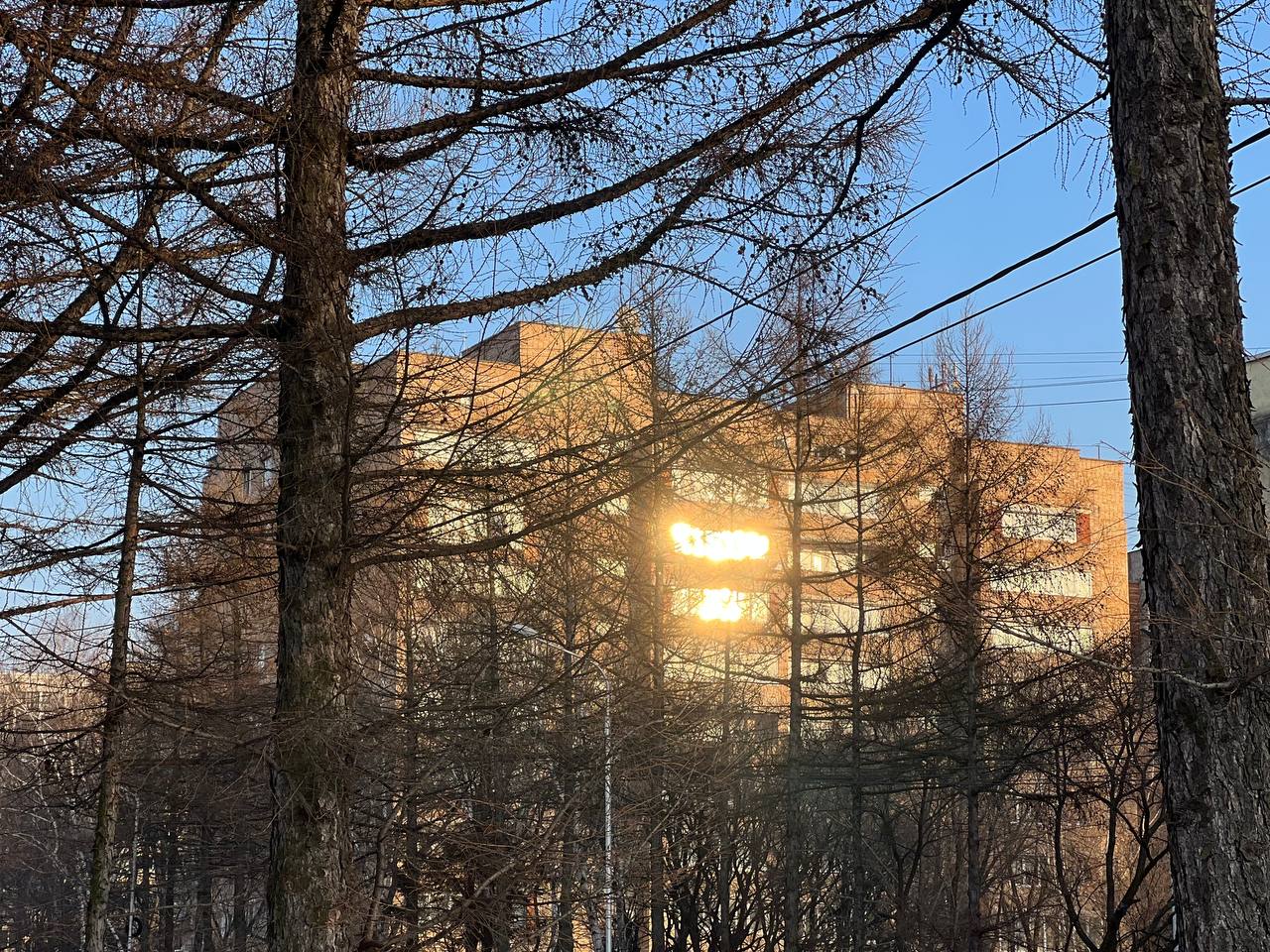 Доброе утро, Уссурийск!. Сегодня, 27 февраля, отмечают Международный день оптимиста