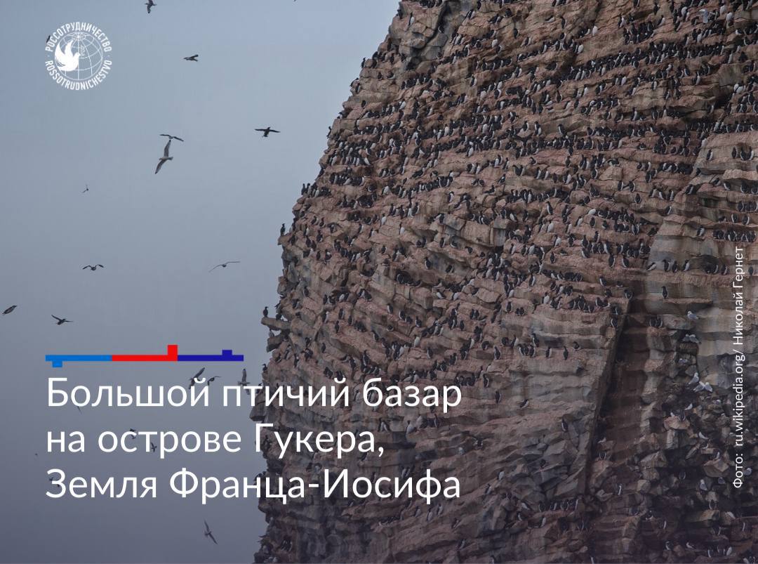 Арктика – сокровищница мира Арктика – сокровищница мира