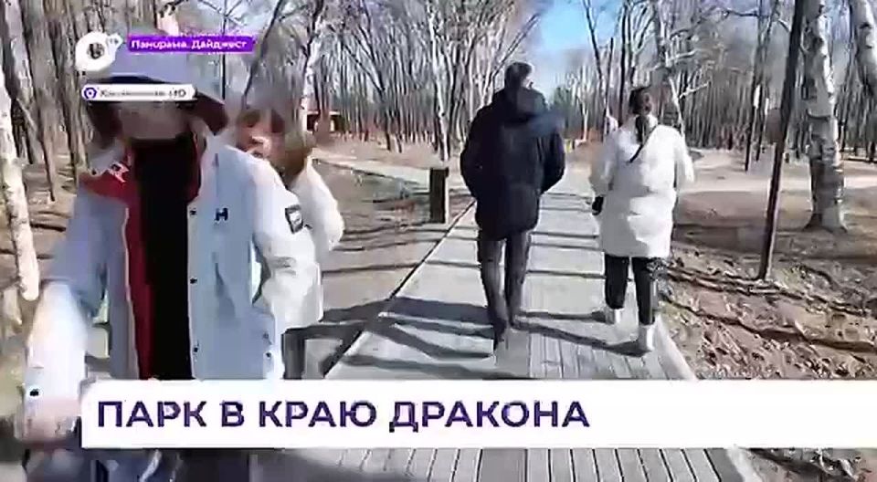 ���������� ���� ������������ ��������� ������� � ������ ���� ������-�������