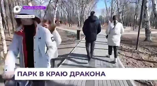 ���������� ���� ������������ ��������� ������� � ������ ���� ������-�������