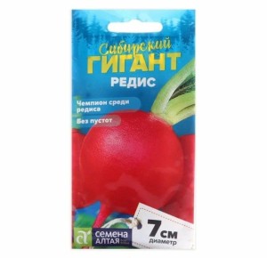 Редис «Сибирский Гигант»: как вырастить овощ, который удивит всех
