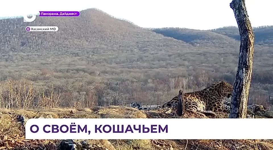 ������� ������� ����� � �������� ������ � �������� ������ ��������