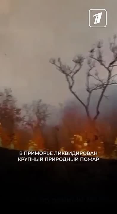  �������� ������������ ������� ��������� �����