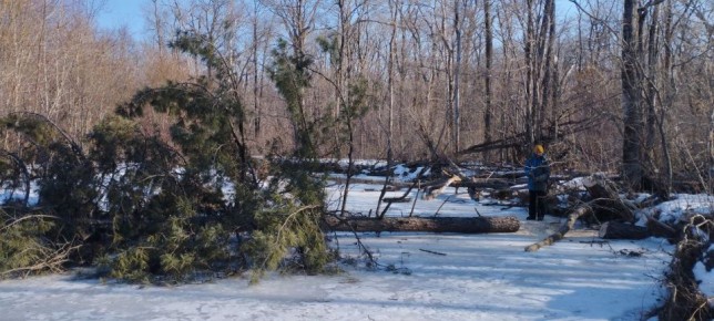 � ��������� ������������ ����� �������� ����, ����� �������� � ������