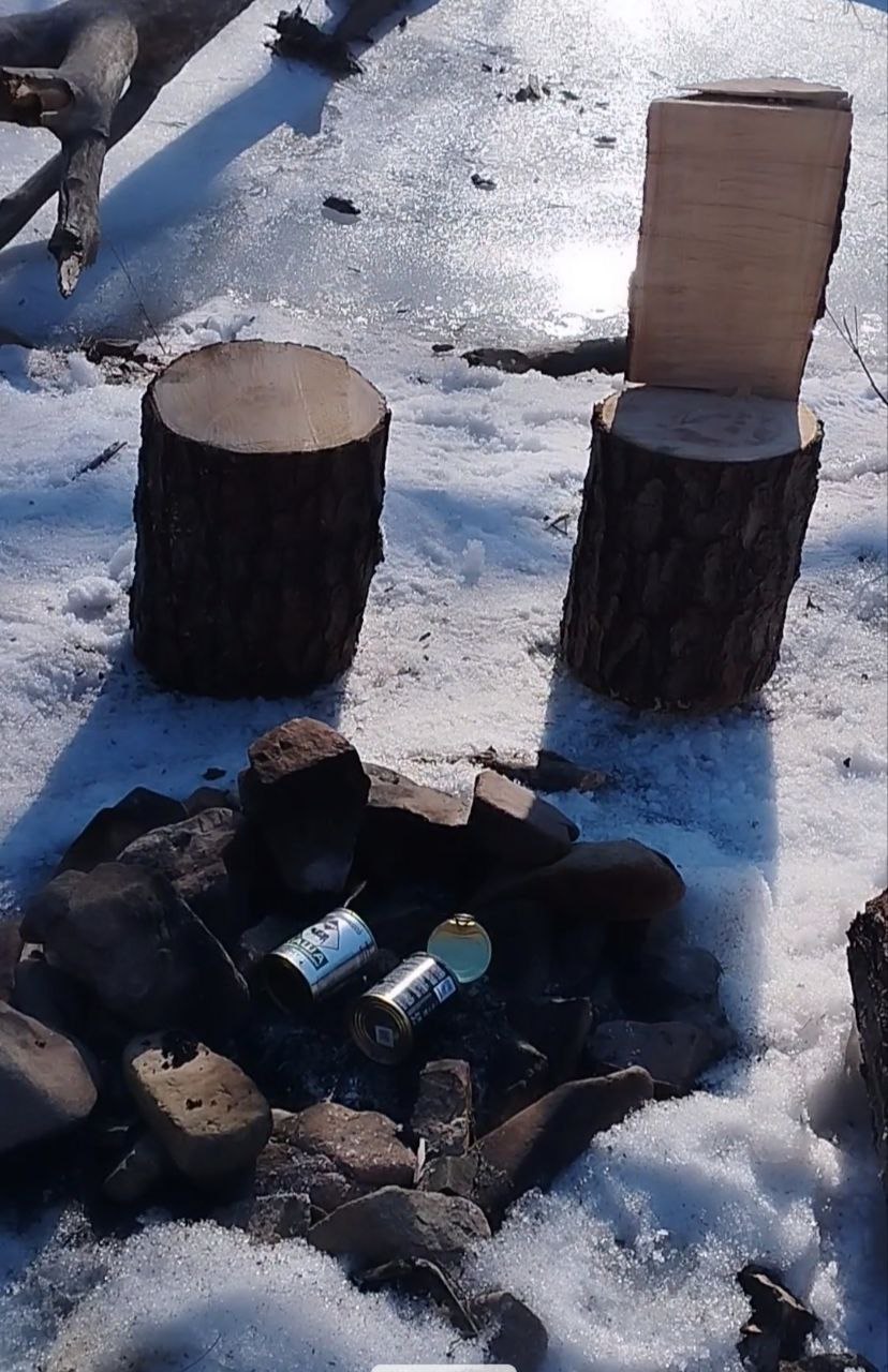 В пригороде Владивостока спили огромный кедр, чтобы посидеть у костра В пригороде Владивостока спили огромный кедр, чтобы посидеть у костра