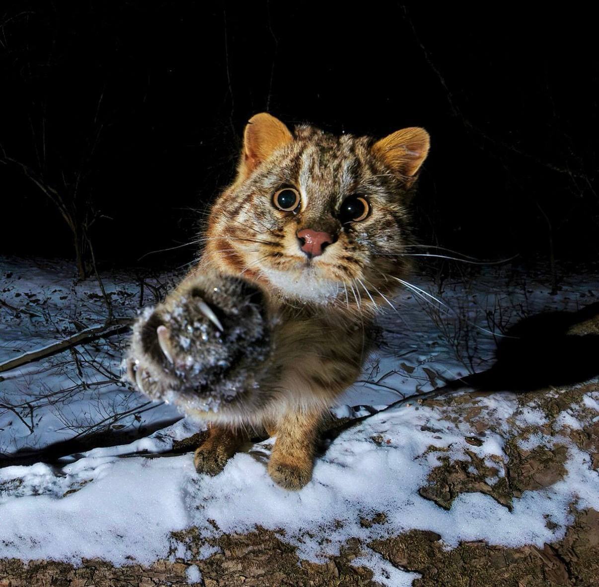Доброе утро, Приморье!. Вот и наступил последний день уходящей зимы Сегодня днём температура в крае до 0…7 °C, на побережье и юго-западе до +1…+4 °C. В первый день весны, в воскресенье, похолодает