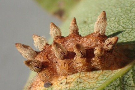 ����������� ������ ������ � ��������� �� �����: ��������� �����������