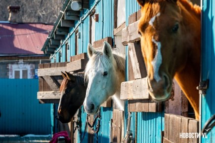 Доброе утро! Сегодня суббота, 28 февраля, последний день зимы!