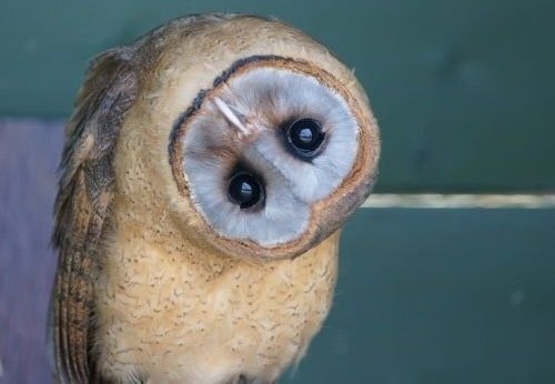 Как увидеть себя со стороны и изменить жизнь к лучшему