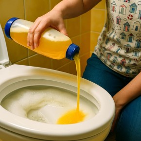 ��� ������� ������ ������ ��� ����� � ������� ������� � �����