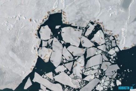 Доброе утро! Сегодня воскресенье, 1 марта