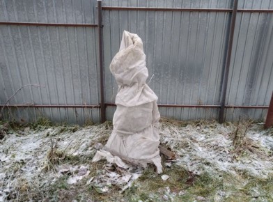 ���������� ��������� ���� � ������� ������