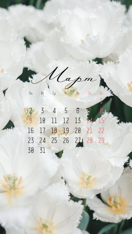 Вдохновение нового месяца уже здесь!