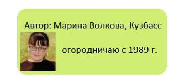 Как полнолуние не помешало высадке новой рассады на огороде