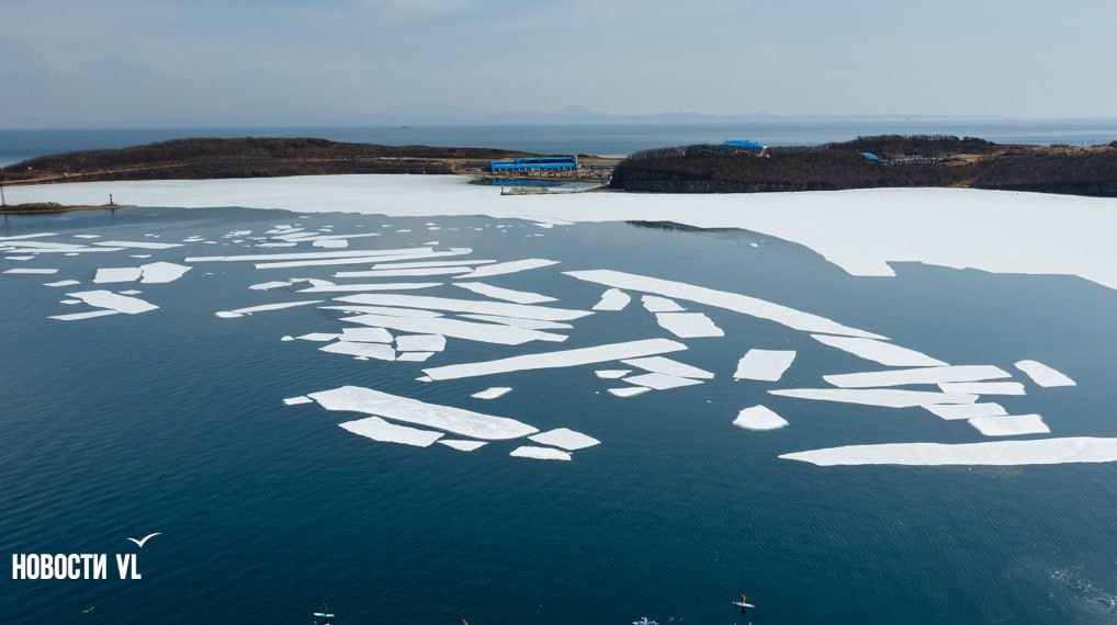 У берегов Владивостока из-за сильного северного ветра сегодня начнут отрываться льдины
