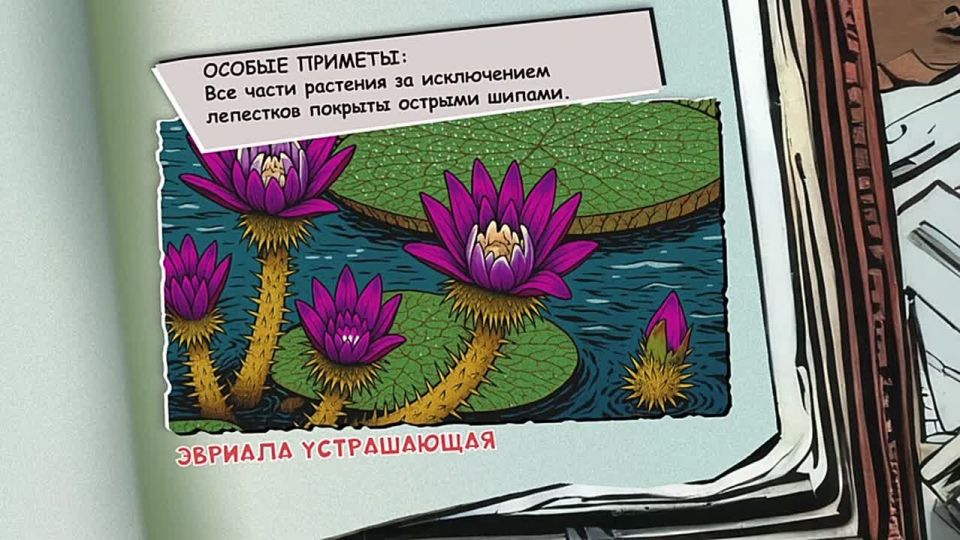 ������� �����������. �� �� � ������ ������ ��������� �� ����� ����� 60-�� ��������� ��� ������� � ��������, �����, ������, ����� � �����