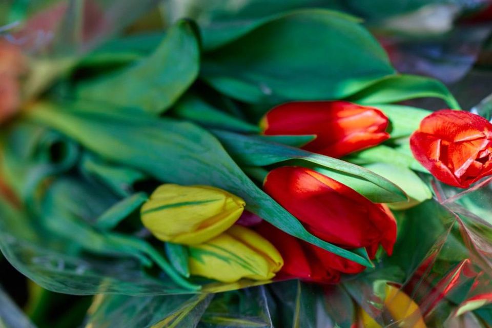 �������� �� ��� �������� ���������� � 8 �����