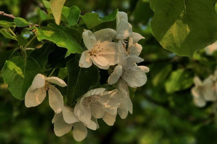 Март в Приморье: весна стучится робко, но тепло