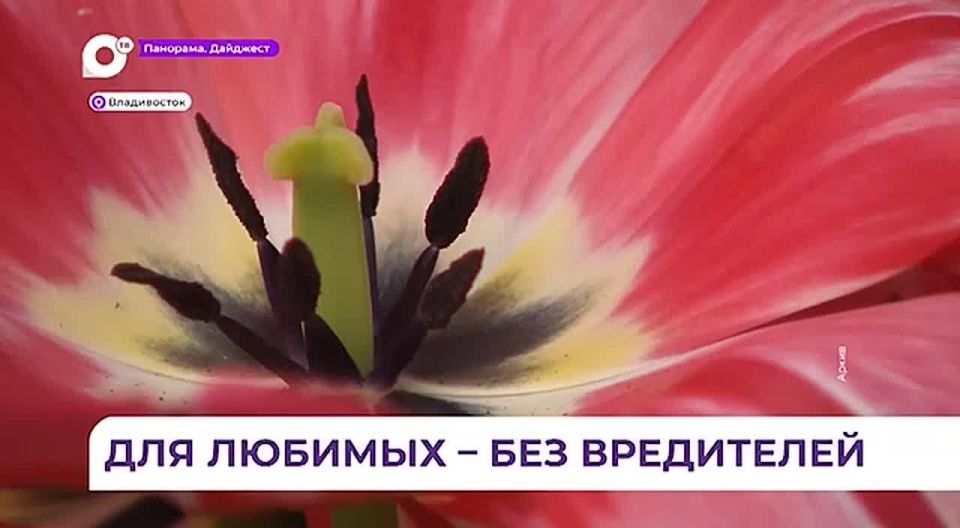 � �������� � ���������� 8 ����� ��������� �������� �� ������� ����������� ����������