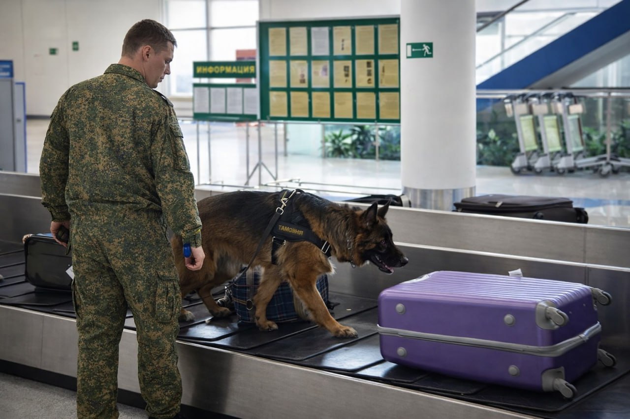 Владивостокская таможня отмечает значительный рост пассажиропотока в международном аэропорту Владивостокская таможня отмечает значительный рост пассажиропотока в международном аэропорту