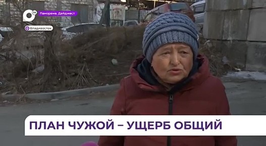 Ущерб Владивостоку от незаконной рубки деревьев на Карбышева составил 250 тысяч рублей