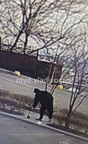 ����������� �������� �������� �� ����� ���������, ������������� � ��������� ������ ������������