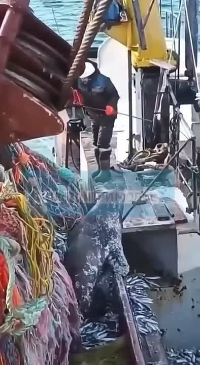 �� �������� ������ � �������� ���� � ���� �������� �������� "���������" ����� ���� ������ �����