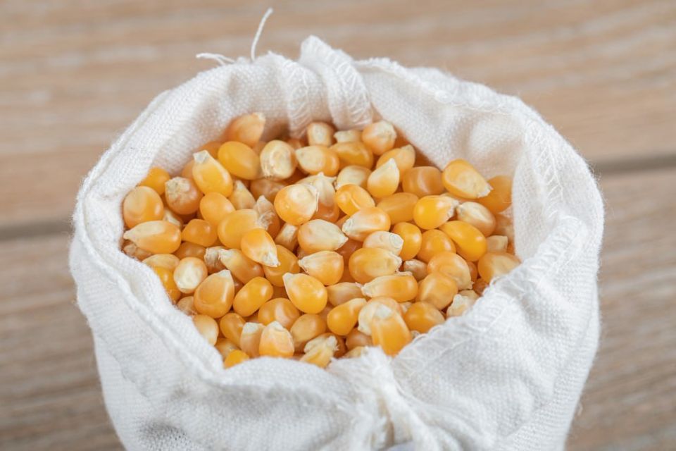 ������� ����� �� �������� �������� ����� ������ � 2025 ����