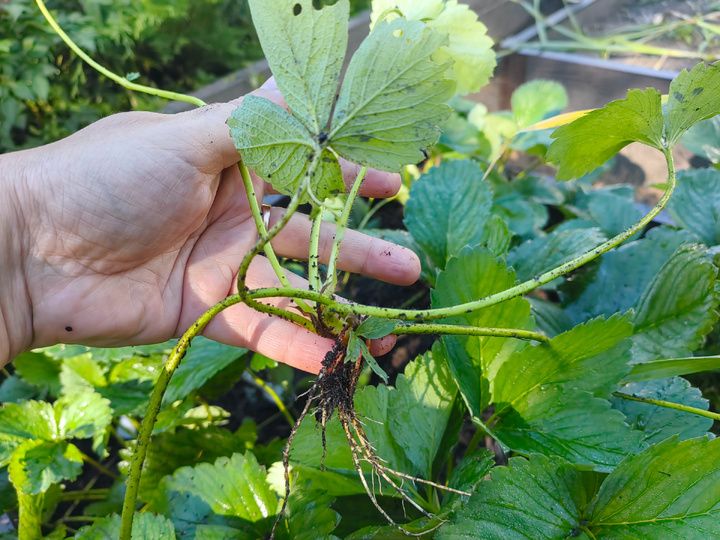 ��� �������� ��� ������������ ����� ����� ��������