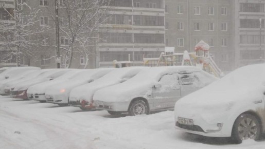 ������ � �������� ������ ����� ��������� �� ���� ������