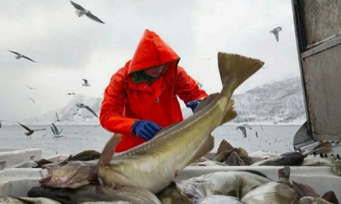 ������������ ������-2026: � ����������� ����������� �������� ���� ����������� �������� ������������� ������