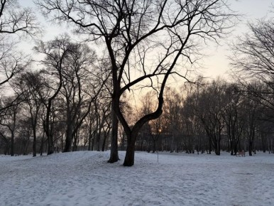 ������ ����, ���������!. �������, 3 �����, �������� ��������� ���� ����� �������