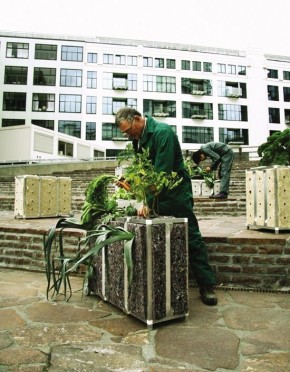 ��������� ���� � ���������: ����� ������ �� ����������� ������