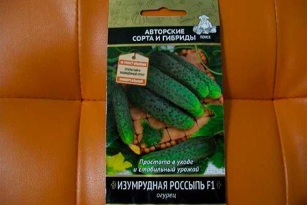 ���������� �������: ������� ��������� ����������� ���������� �������