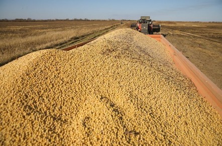 �������� ��������� ��������� � �������� ������� ������ ������ ��������� ������� 10 ����� ����