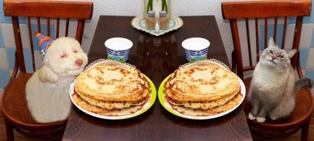 ��������� � ������: �������� ������ � �������