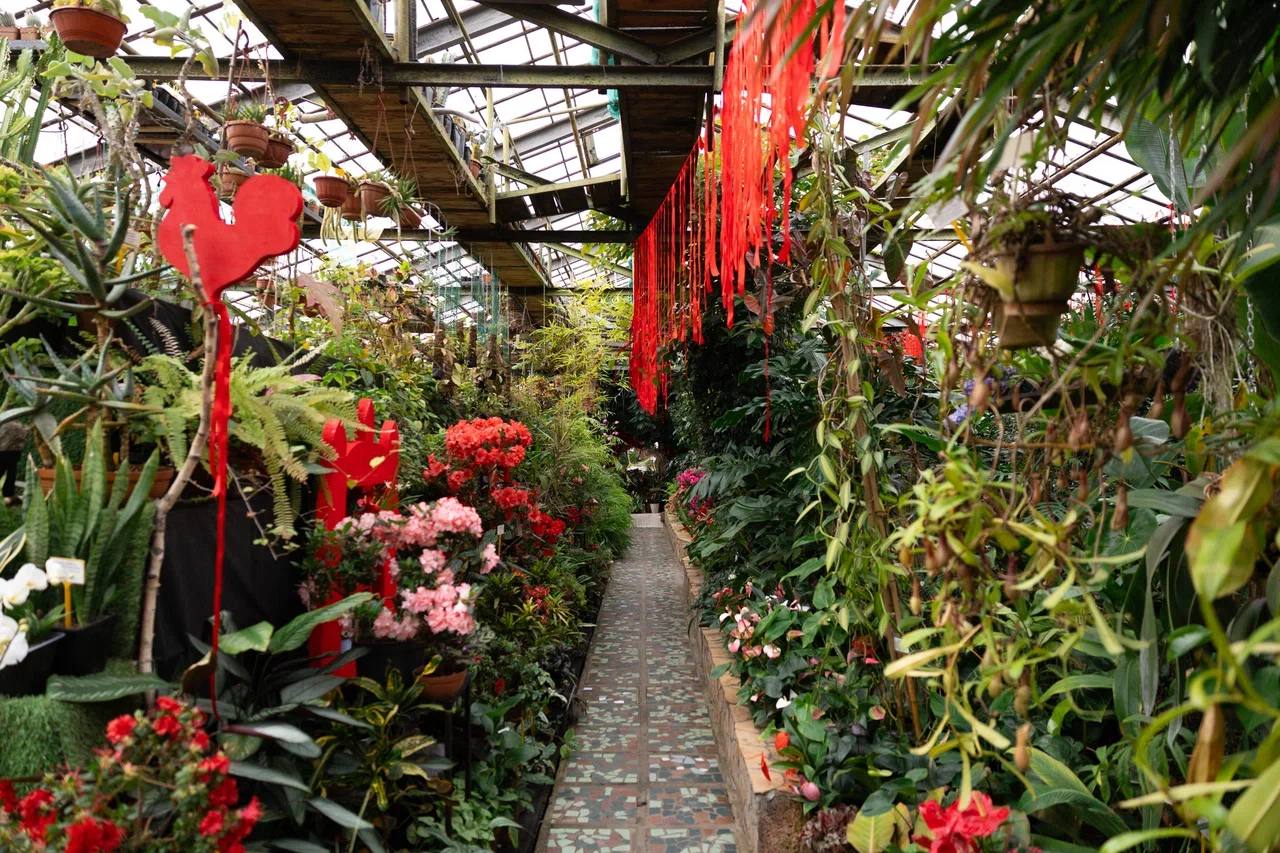 Пока за окном весна лишь по календарю, наш фотограф отыскала настоящий цветущий оазис Пока за окном весна лишь по календарю, наш фотограф отыскала настоящий цветущий оазис