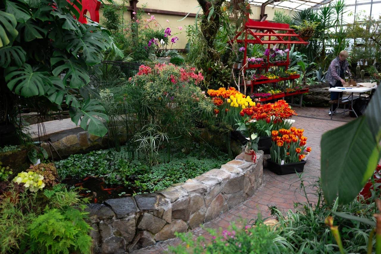 Пока за окном весна лишь по календарю, наш фотограф отыскала настоящий цветущий оазис Пока за окном весна лишь по календарю, наш фотограф отыскала настоящий цветущий оазис