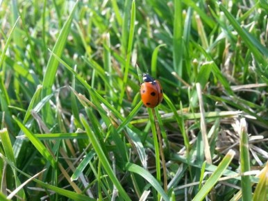 ��������� �������� ��� ������: �������� ���������