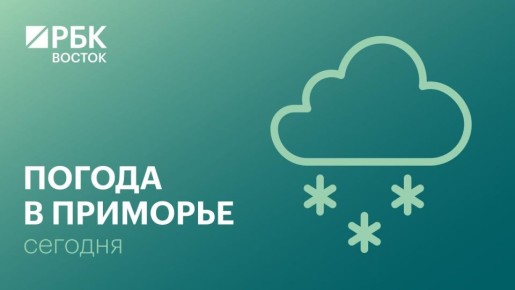 В среду, 4 марта, погоду в Приморском крае определяют фронтальные разделы, в северной половине небольшой, в отдельных районах умеренный снег, на востоке снег, местами сильный