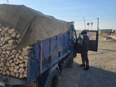 В Госавтоинспекции Приморского края подвели итоги профилактического мероприятия «Грузовик»