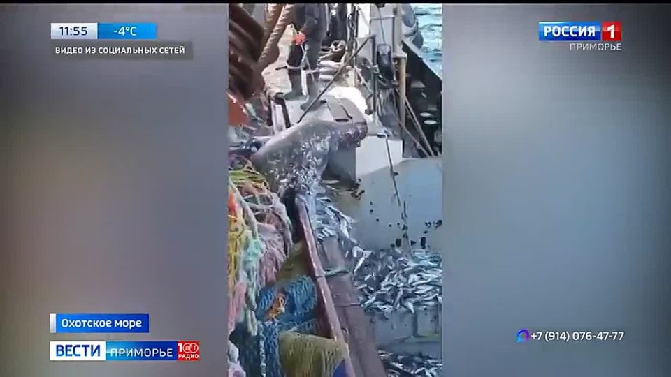 � �������� ���� ���������� ������ ����������� � ����������� � ������ ������� ����������� � ���� �������� ������...