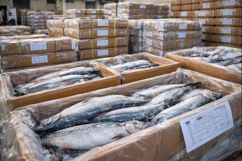 ���������� � ����������� ������ ��������� �������� �� �����