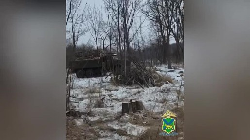 В Спасском округе Приморья выявлен факт незаконной рубки лесных насаждений на сумму более 6,7 млн рублей