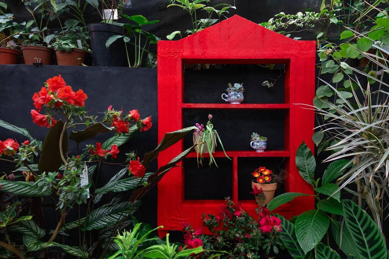 Пока за окном весна лишь по календарю, наш фотограф отыскала настоящий цветущий оазис