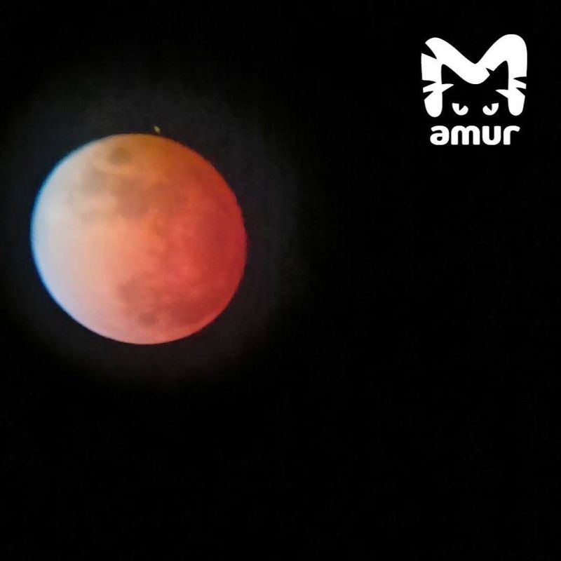 ����� � ���� ��� ��������� ��������� ������ ������ ��������