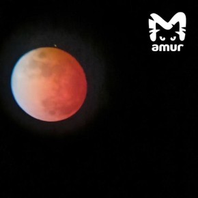 ����� � ���� ��� ��������� ��������� ������ ������ ��������